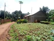 A picture of A plot for sale at Nansana Kawoko