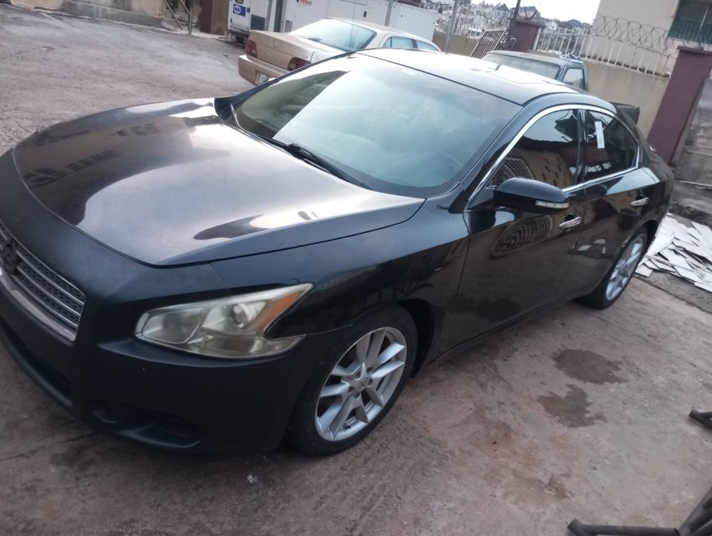 A picture of Nissan Maxima 2010