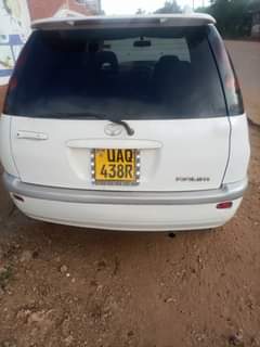 Ssazi D.