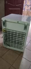 A picture of Frizer linagandisha