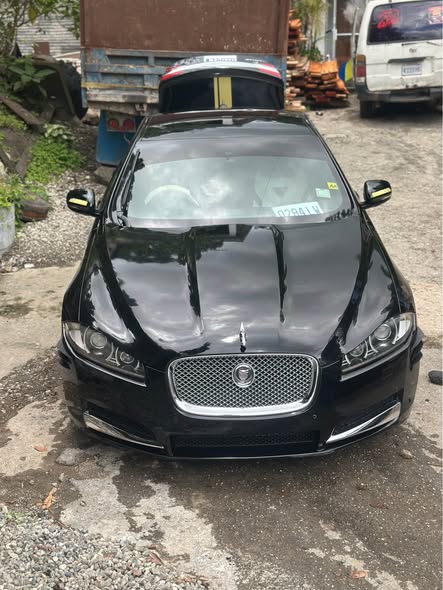 jaguar