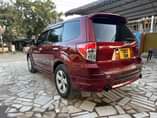 A picture of SUBARU FORESTER