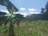 A picture of 7 ACRES OF LAND 0758873724