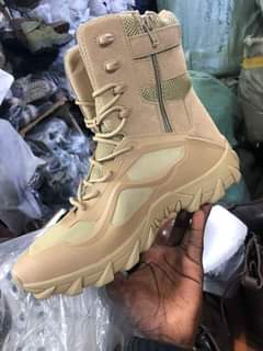 A picture of Desert original boot A