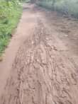 A picture of 4 5 fertile acres on sale all at 36m with