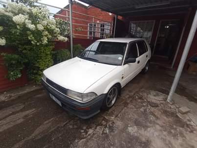 Kzn V.