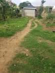 A picture of Plot