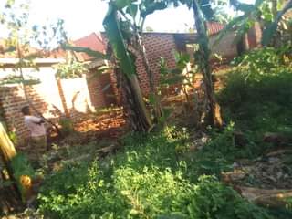 A picture of 50by100ft on sale In kisoga town along mukono katosi road