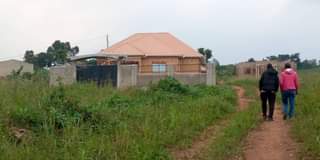 A picture of Plot on quick sale Size 25x50ft located matugga kiwebwa near