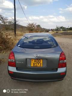 nissan primera
