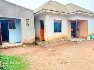 A picture of House