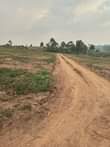 A picture of Matuga kilyagonja Estate