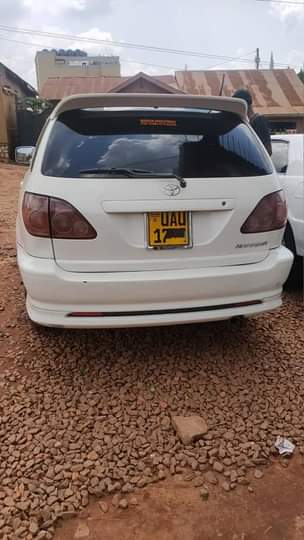 A picture of Harrier 2.2cc 12.7m