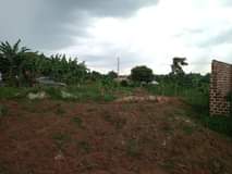 A picture of Half an acre for sale at Matugga kitanda