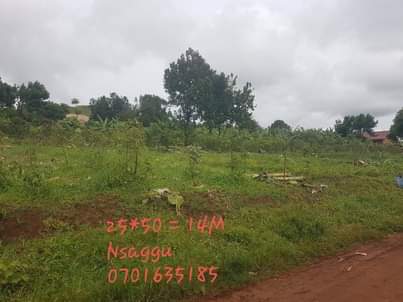 A picture of PLOTS LAND