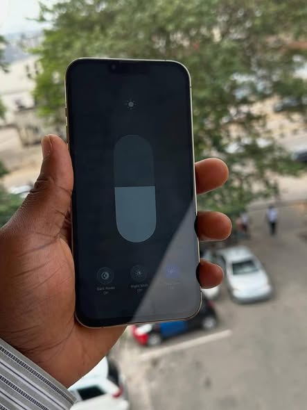 A picture of IPhone 13promax