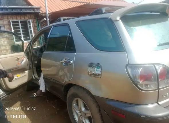 A picture of Lexus Rx300 2002 Model