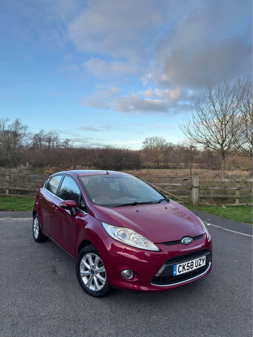 ford zetec