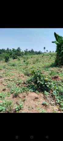 A picture of Land Property For Sale