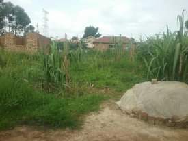 A picture of Plots for sale wakiso Busiro naluvule