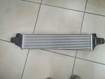 Vus'muzi T.
