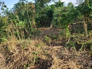 A picture of Plots for sale