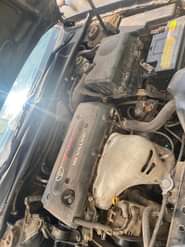 A picture of Camry Big daddy 05 available for the fastest finger Contact