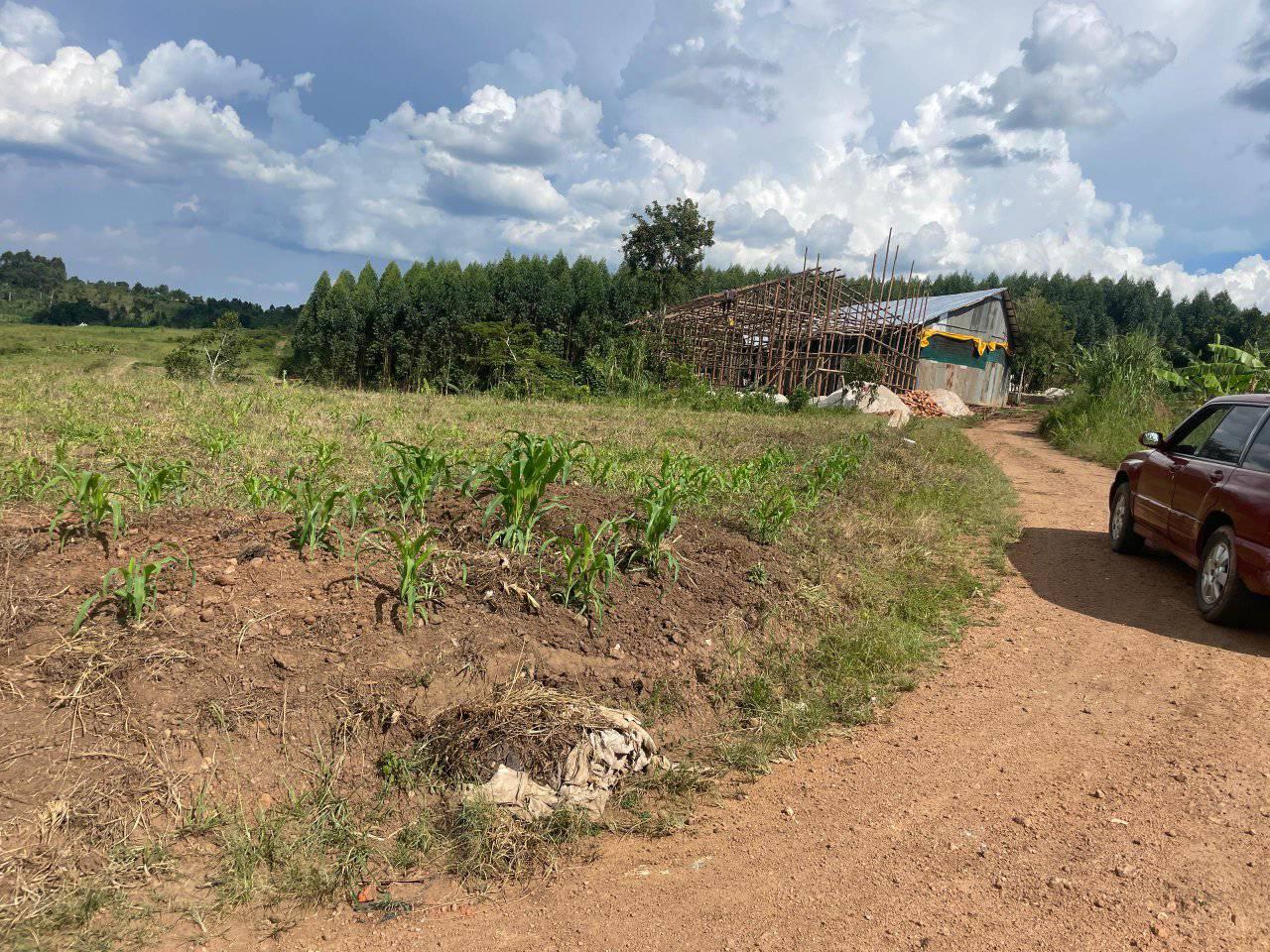 A picture of PRIME PLOT LOCATED WAKISO GOBERO HOIMA ROAD 