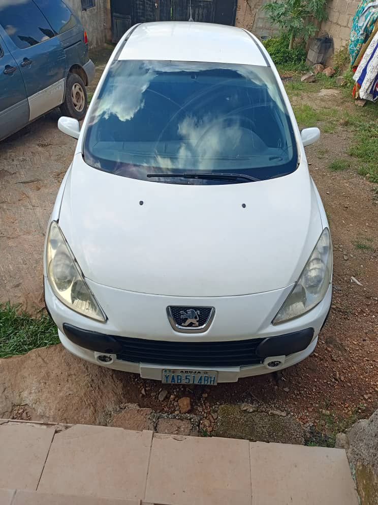 A picture of 307 Peugeot Manual 