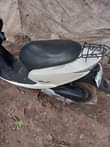 A picture of HONDA DIO