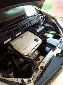 A picture of 2009 Sienna LE
