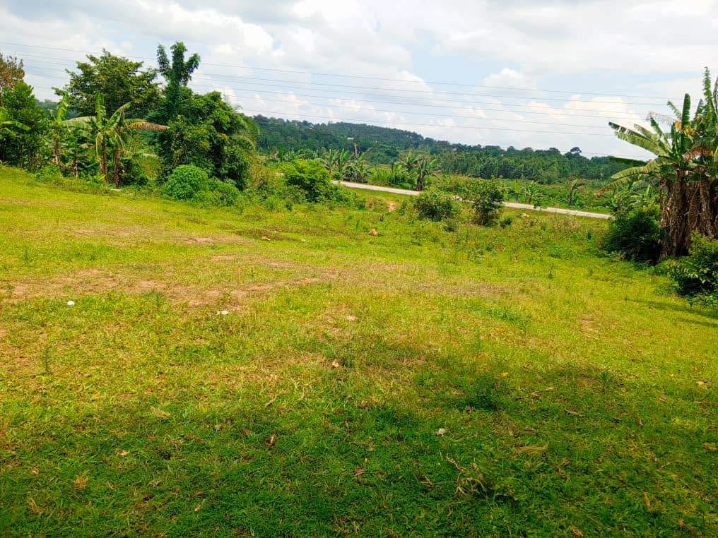 A picture of Gobero half acre along the main