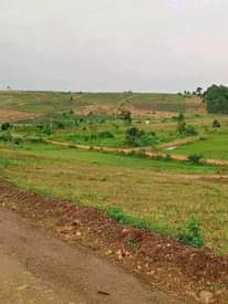 A picture of Commercial and Residential plots for sale