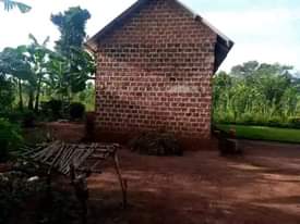 A picture of HOUSE FOR SALE ON 75 166FT 7m