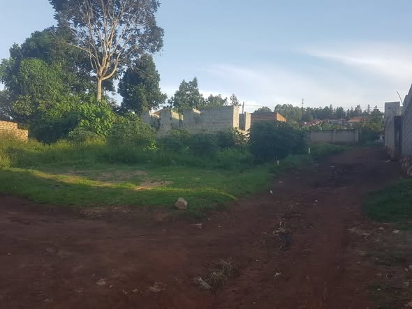 A picture of Plot