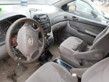 A picture of Sienna 06