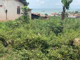 A picture of Land for sale in Entebbe