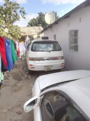 zed cars_under_20pin