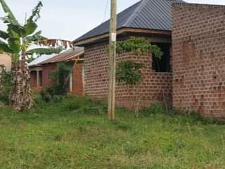 A picture of House on Quick sale at 13m negotiable located at kavule