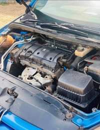 A picture of PEUGEOT 307 tiger face