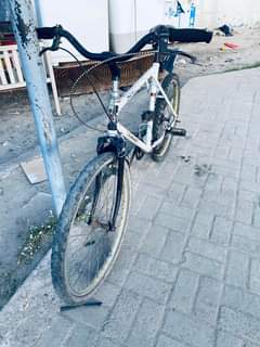 A picture of BASKELI