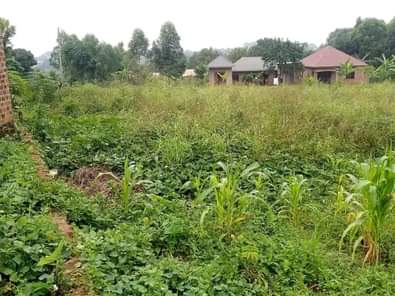 A picture of Plots for sale in Nabingo Masaka Rd Size 30 40fit