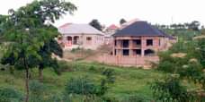 A picture of BIG PLOT WITH HOUSE ON SALE 50 100FT READY TITLE