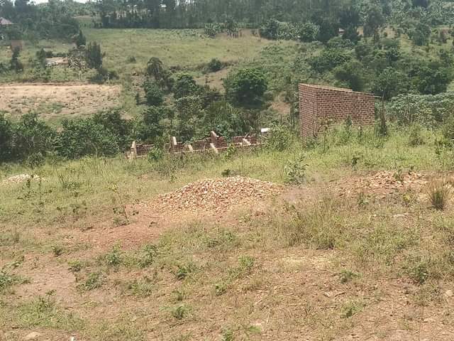 houses matugga