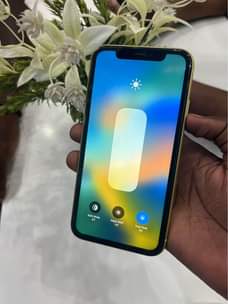 A picture of iPhone 11 0684619650