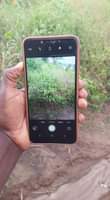 A picture of Techno camoon 11 Gb32 ram3 Net4g krek kdg 0687879635