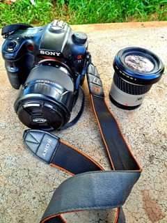 sony