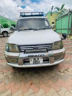used toyota prado