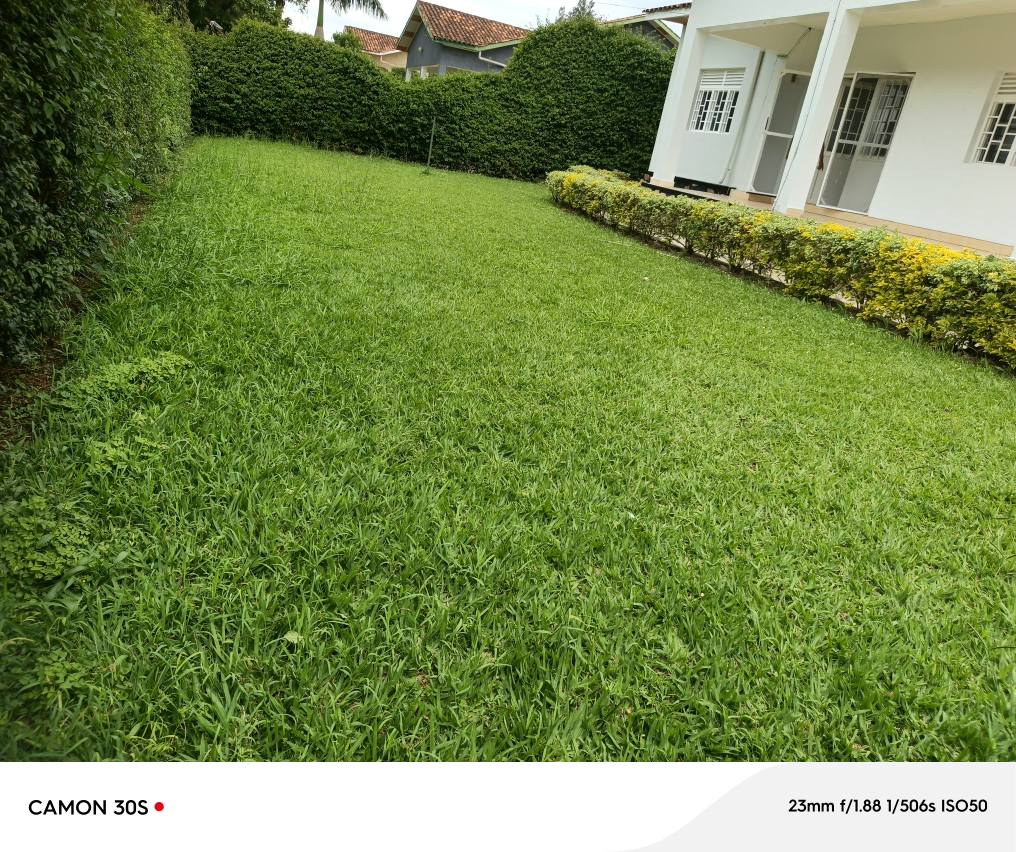 houses for rent
