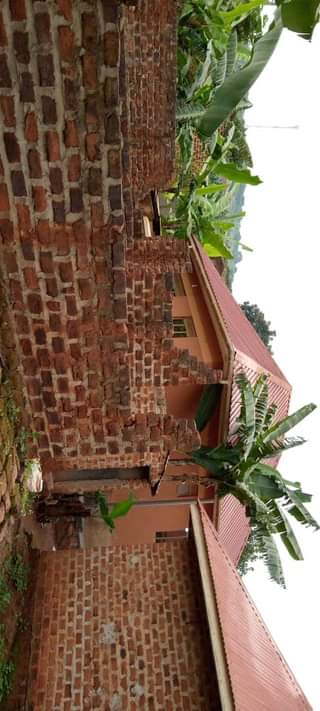 A picture of Nansana naluvule